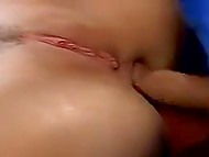 recommend look for ewa sonnet gif porn was specially registered forum