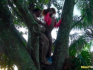 There are no people in the park so guy can fuck Ebony girlfriend on tire then couple climbs on the tree